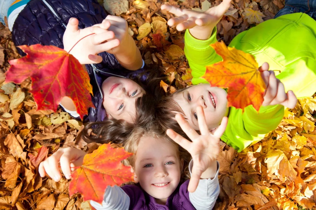 🍁Уважаемые родители! Приближаются осенние каникулы, есть возможность отправить детей о...