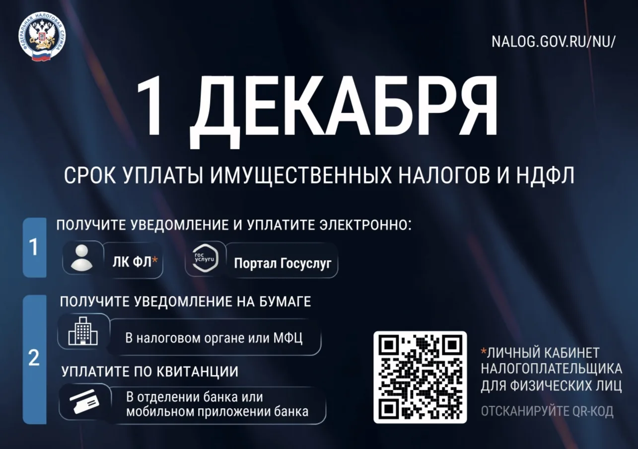 Федеральная налоговая служба информирует ‼️