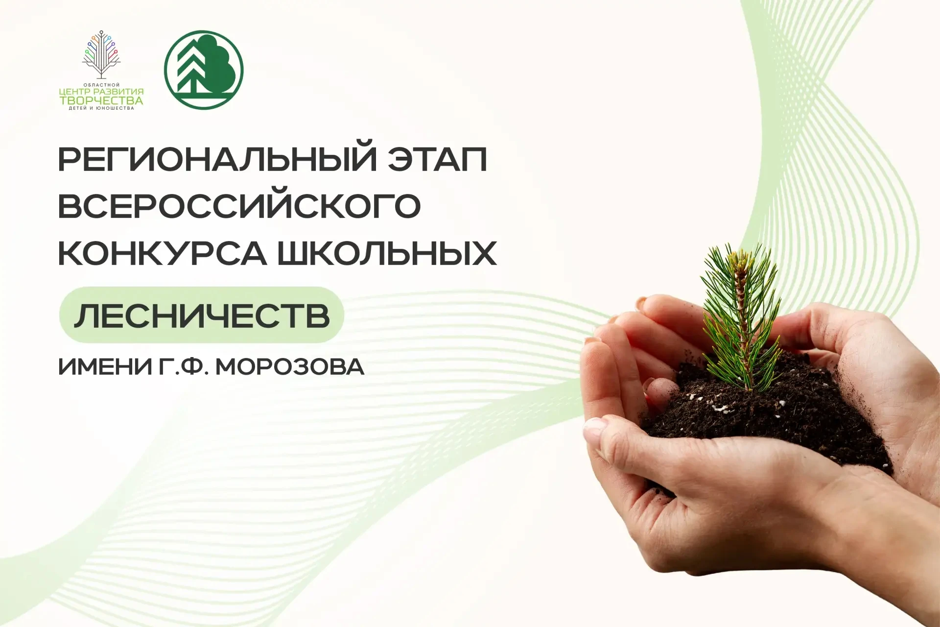 🌲 Приём заявок открыт!