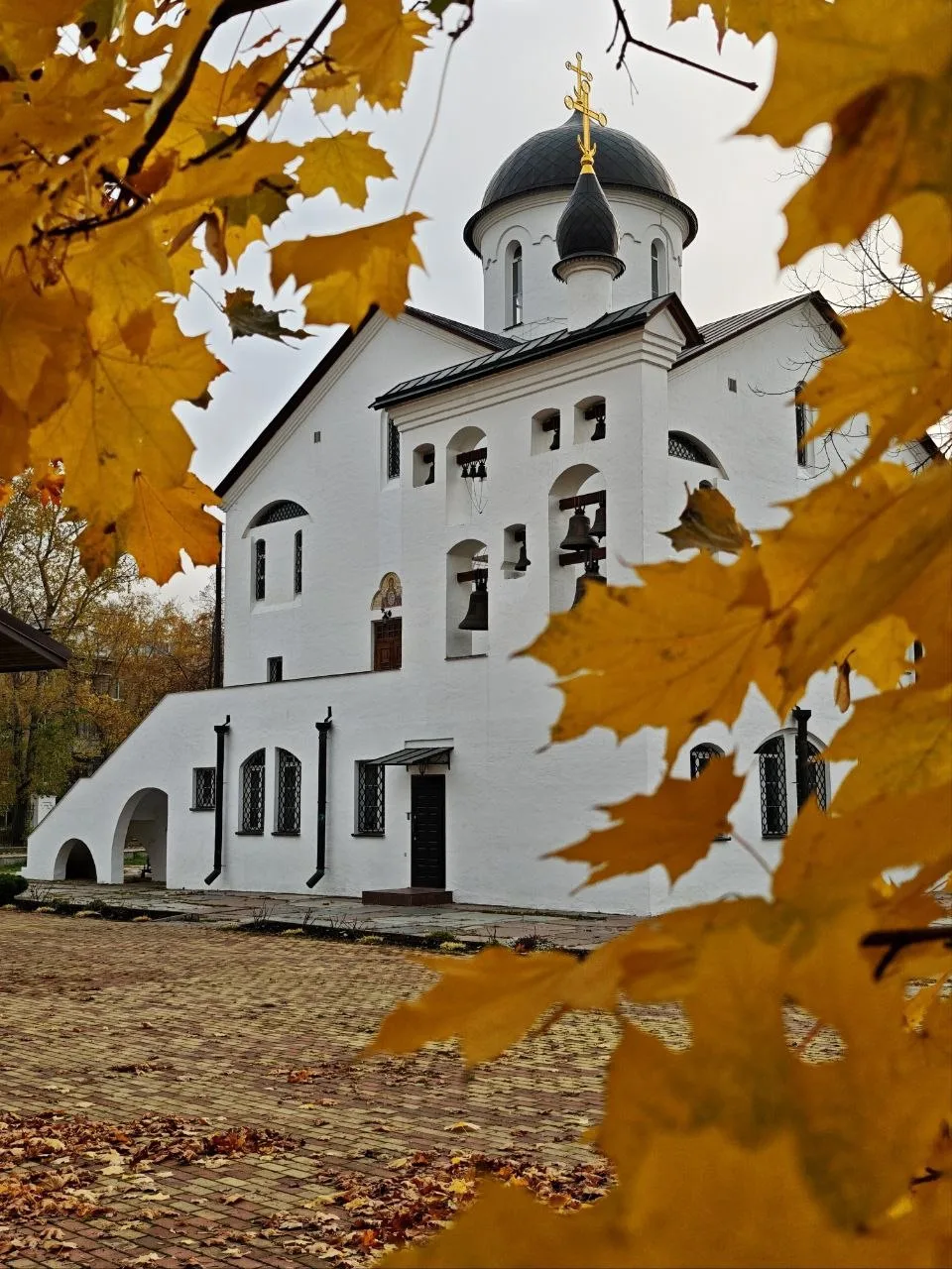 Доброе утро, Долгопрудный 🍂