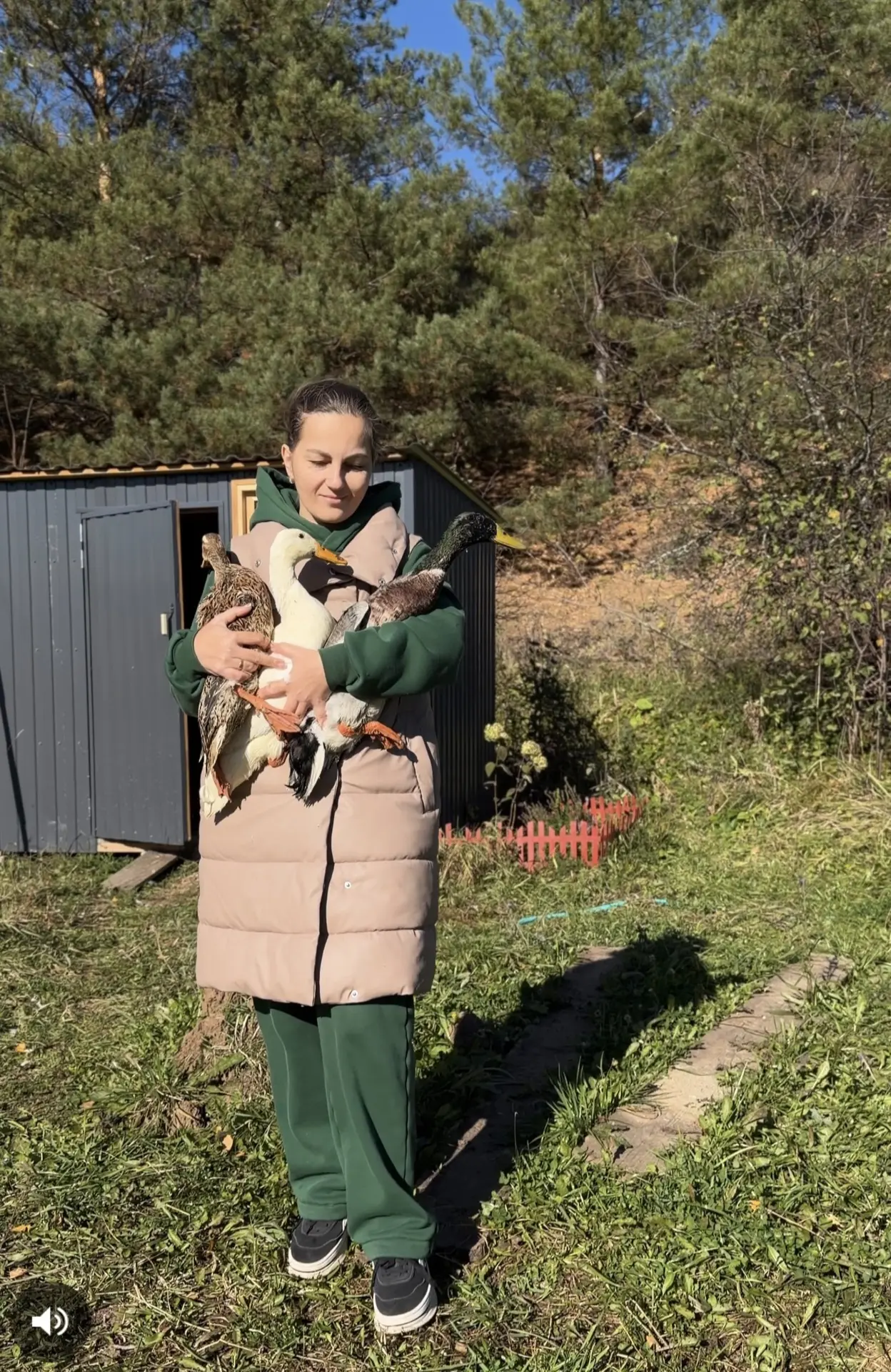 Пришли морозы и настало время прощаться с утками. Очень много они нам принесли классных...