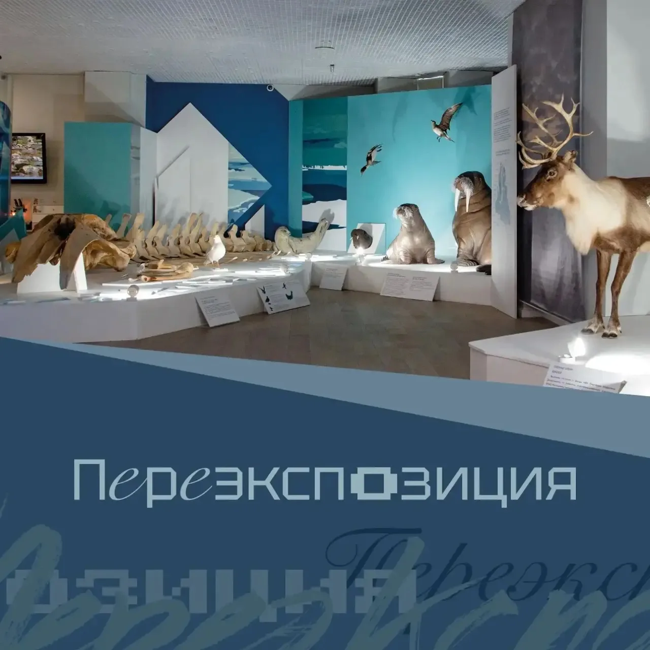 🛠 Настала пора обновлений