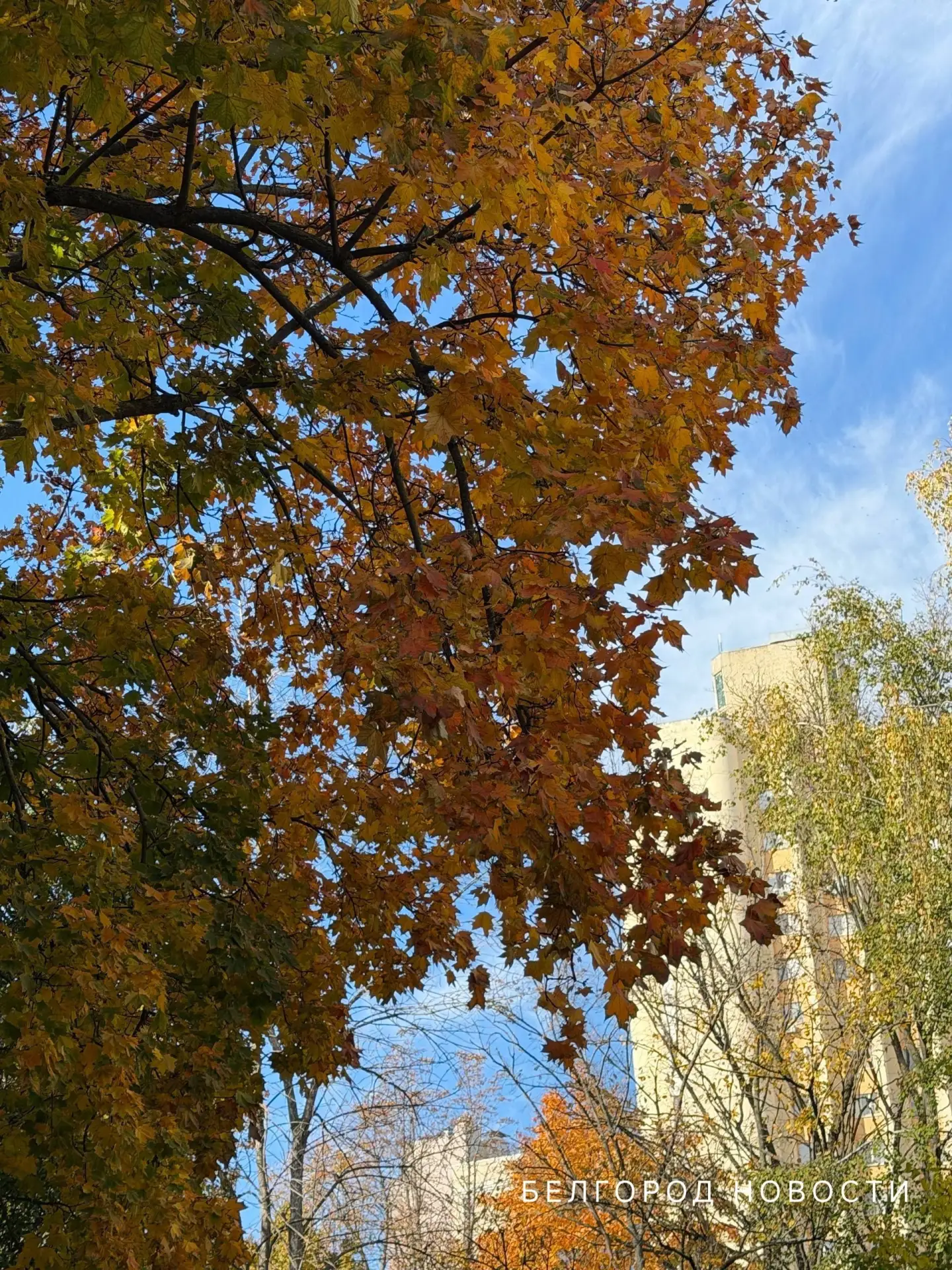 🌤 Днём — до +21°C