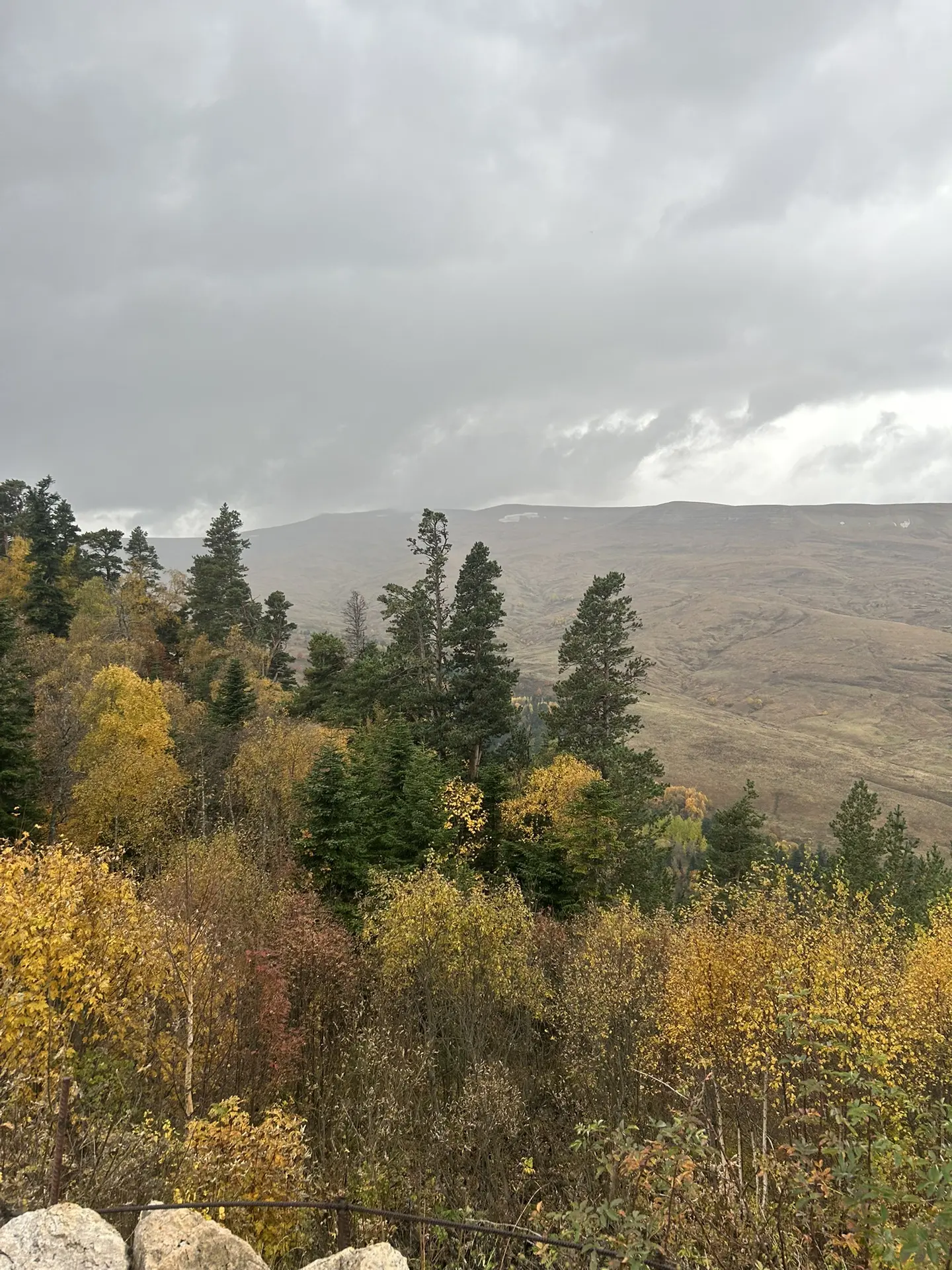 🌧️ В пятницу будет пасмурно, местами ожидаются осадки.
