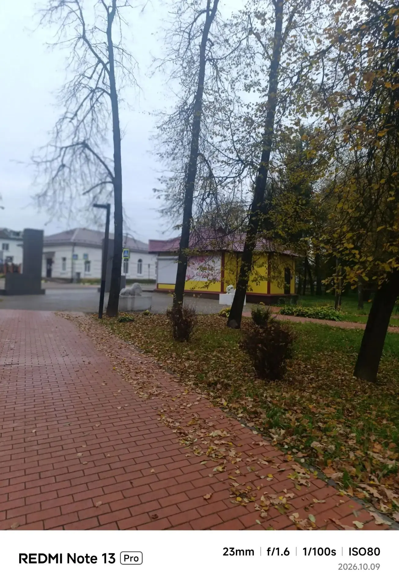 🌤️ Доброе туманное утро, Сычевка и округа!