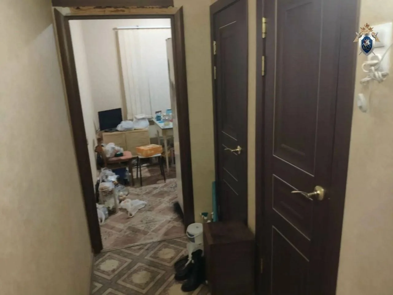 В Чапаевске произошёл трагический инцидент, в ходе которого 44-летняя женщина напала на...