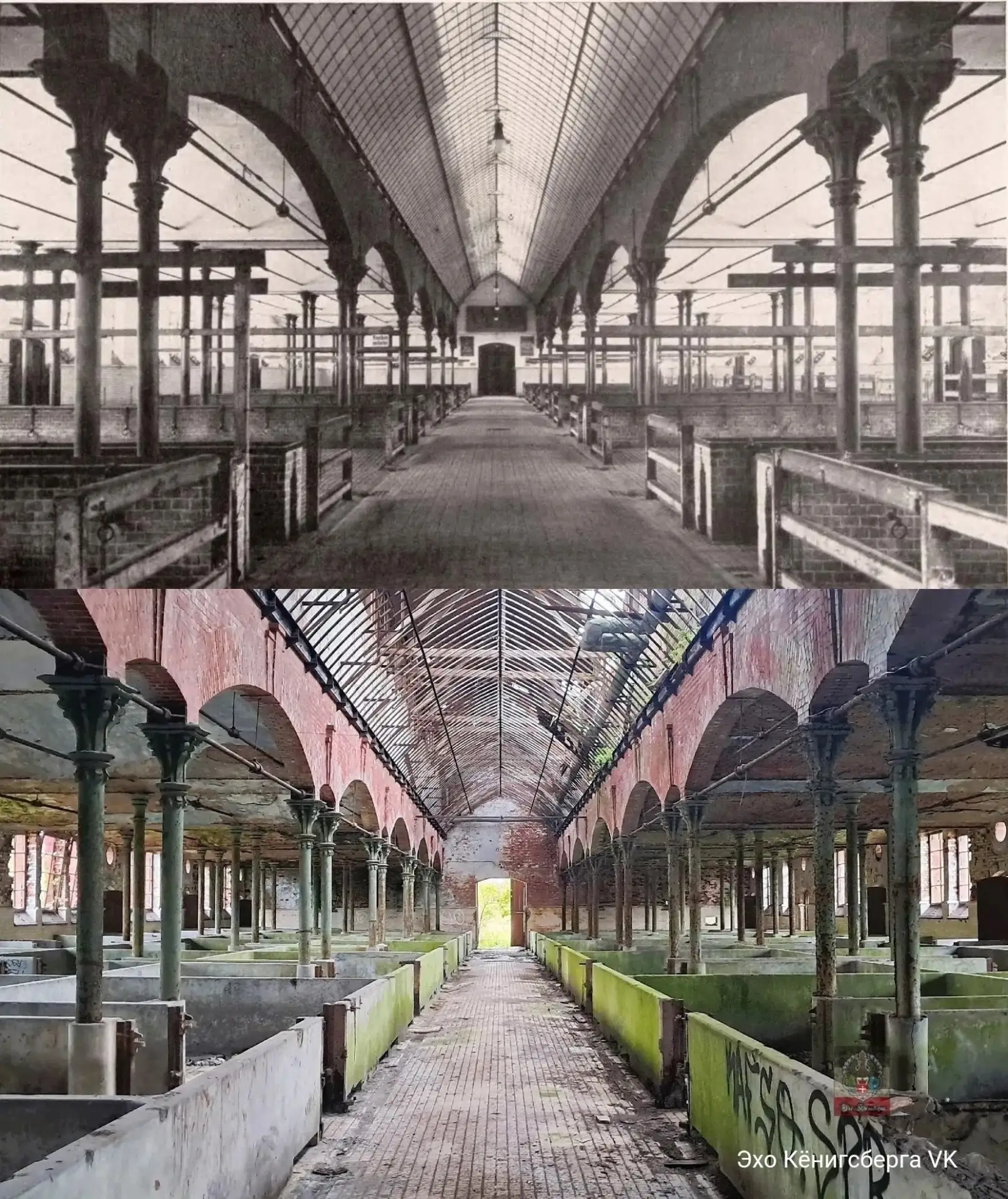 ЯНТАРНАЯ ИСТОРИЯ