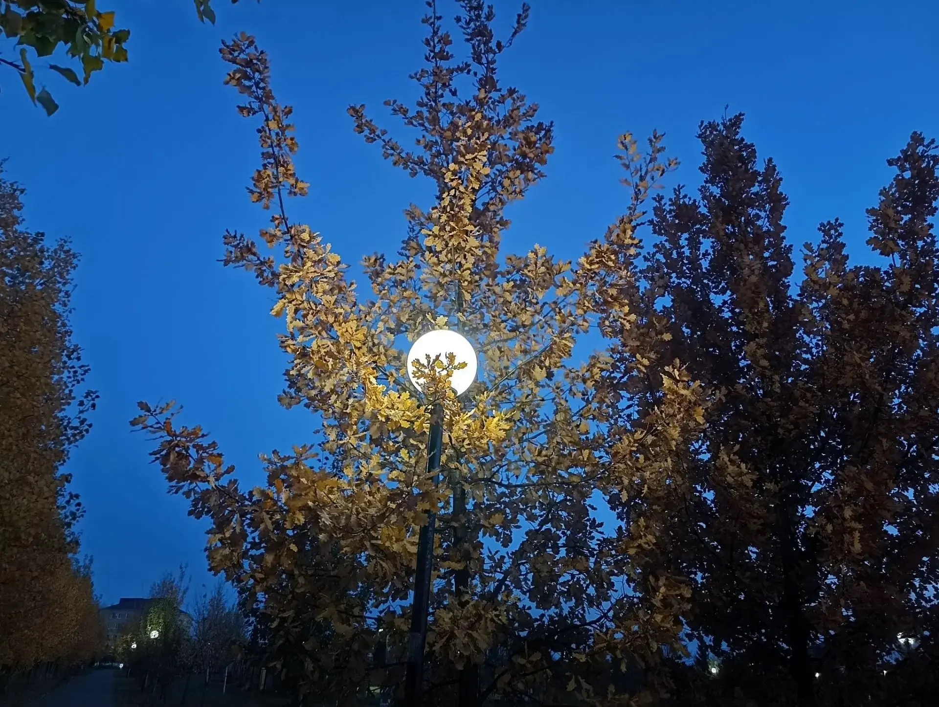 Добрый вечер, друзья! 🌇🍁