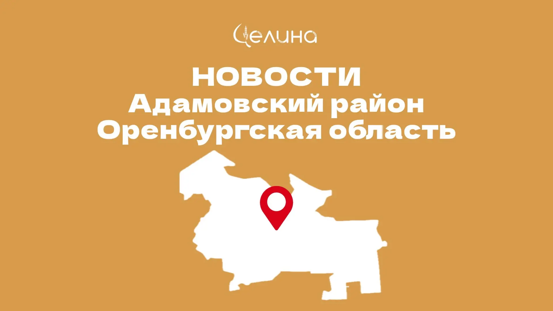 15 октября в Адамовском районе пройдёт Единый день приёмов участников СВО
