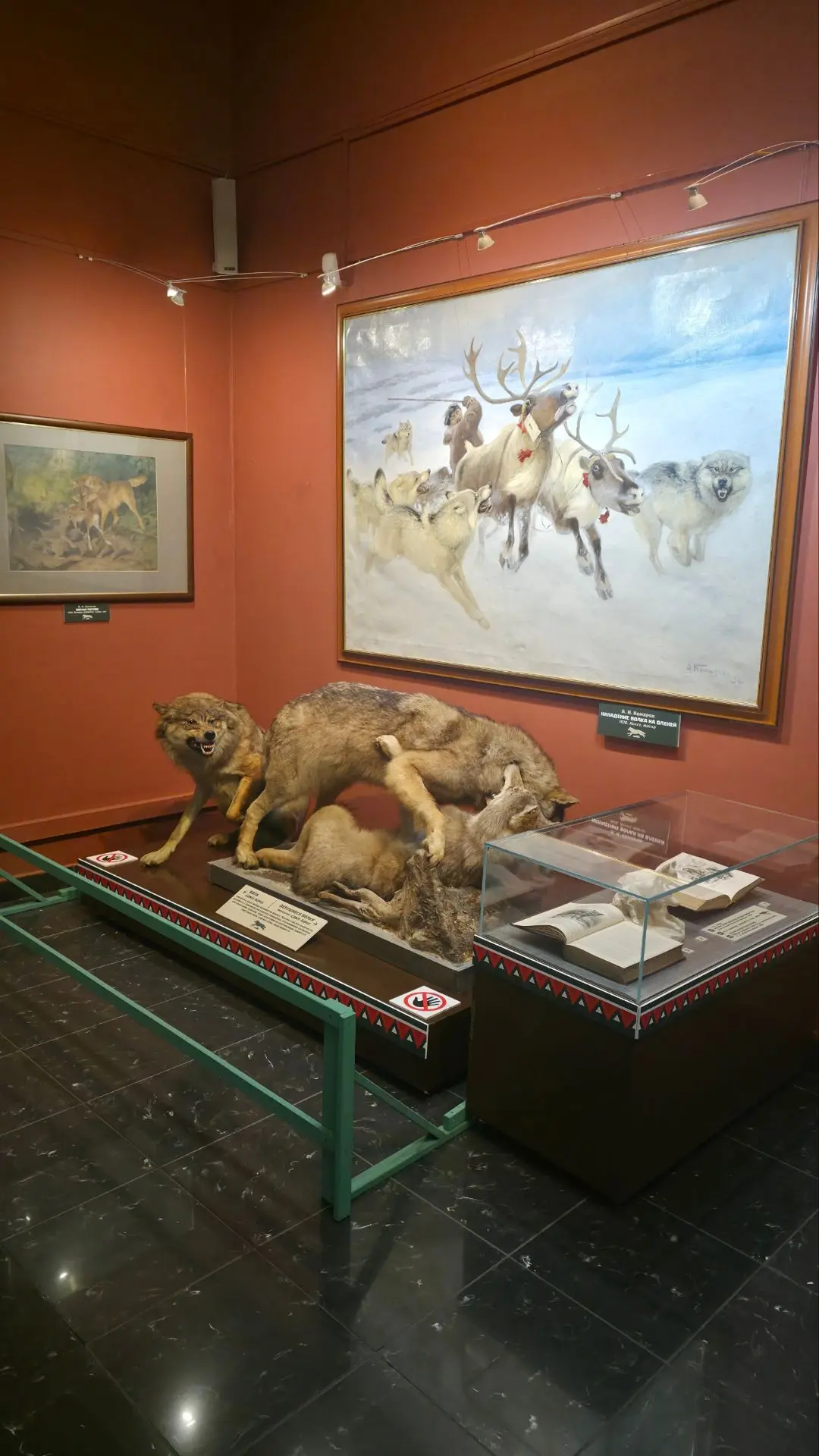 🐺 Выставка о волкособах «Белый клык» в Дарвиновском музее