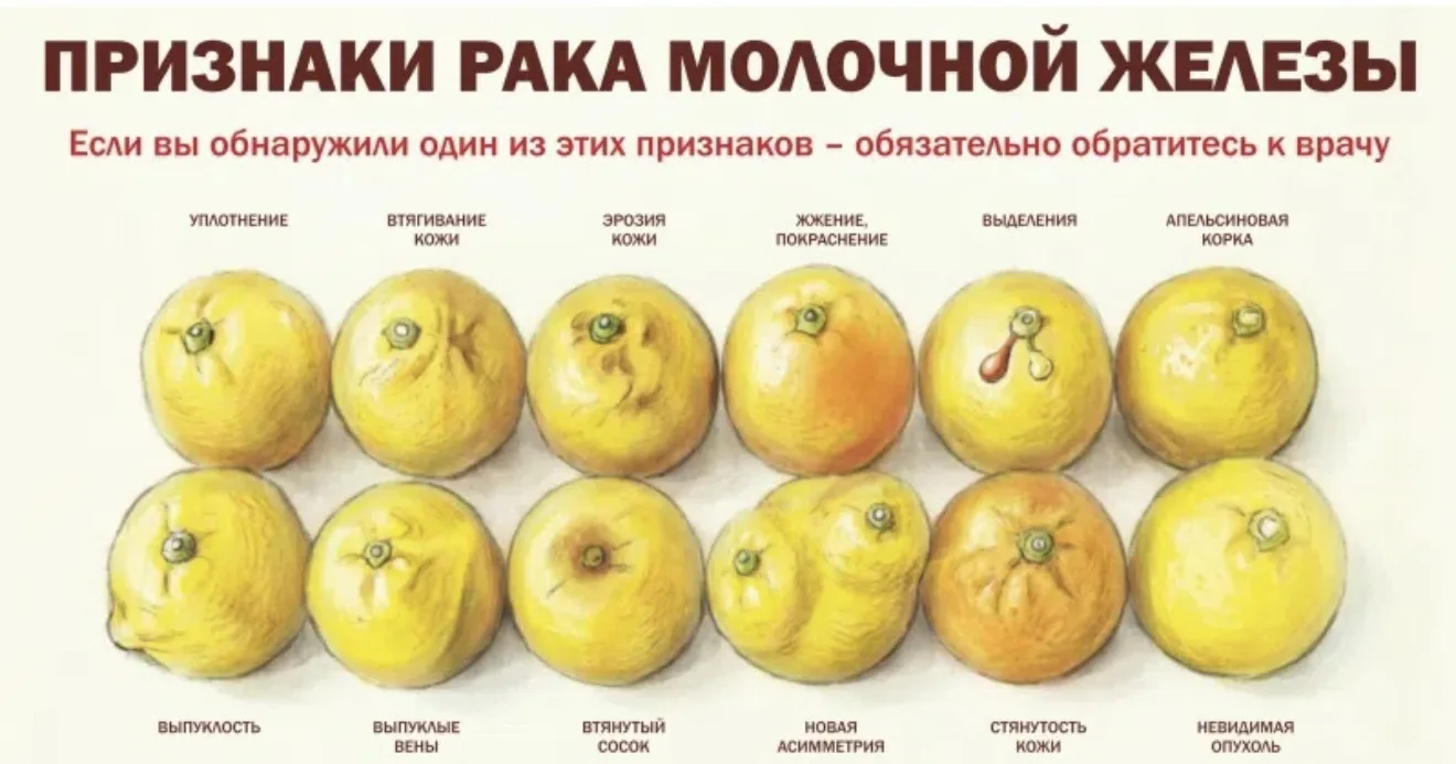 ❗Раннее выявление рака молочной железы значительно повышает шансы на успешное лечение. ...