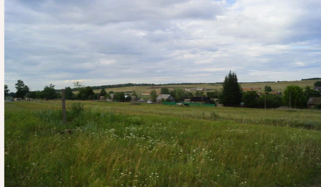 Из истории Бальзы