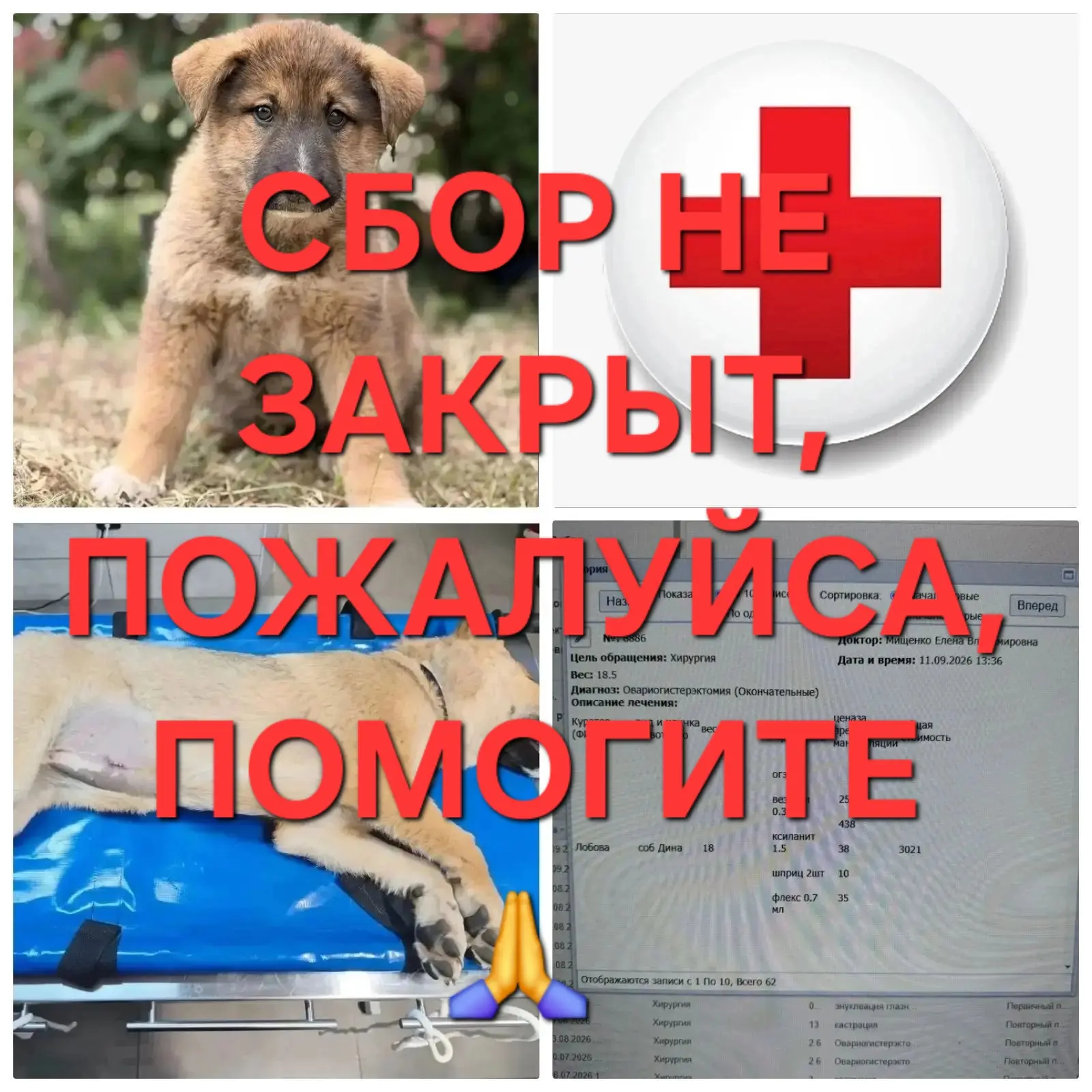 Уважаемые Друзья, осталось всего 2000 собрать и закроемся, пожалуйста, окажите поддержк...