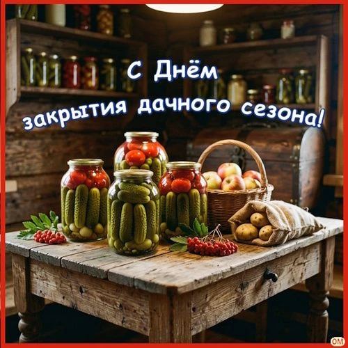 ЖИВЫЕ ОТКРЫТКИ🫶🏻