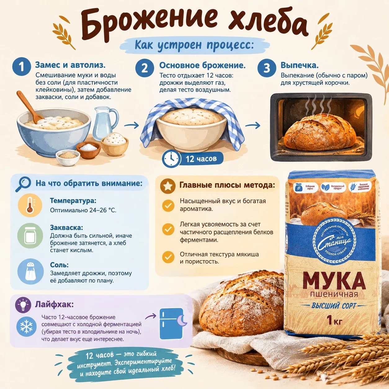 12 часов выбраживания хлеба: секрет вкуса и пользы 🥖