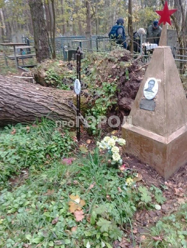 Жители Злобино в отчаянии из-за состояния местного кладбища. Люди жалуются, что террито...