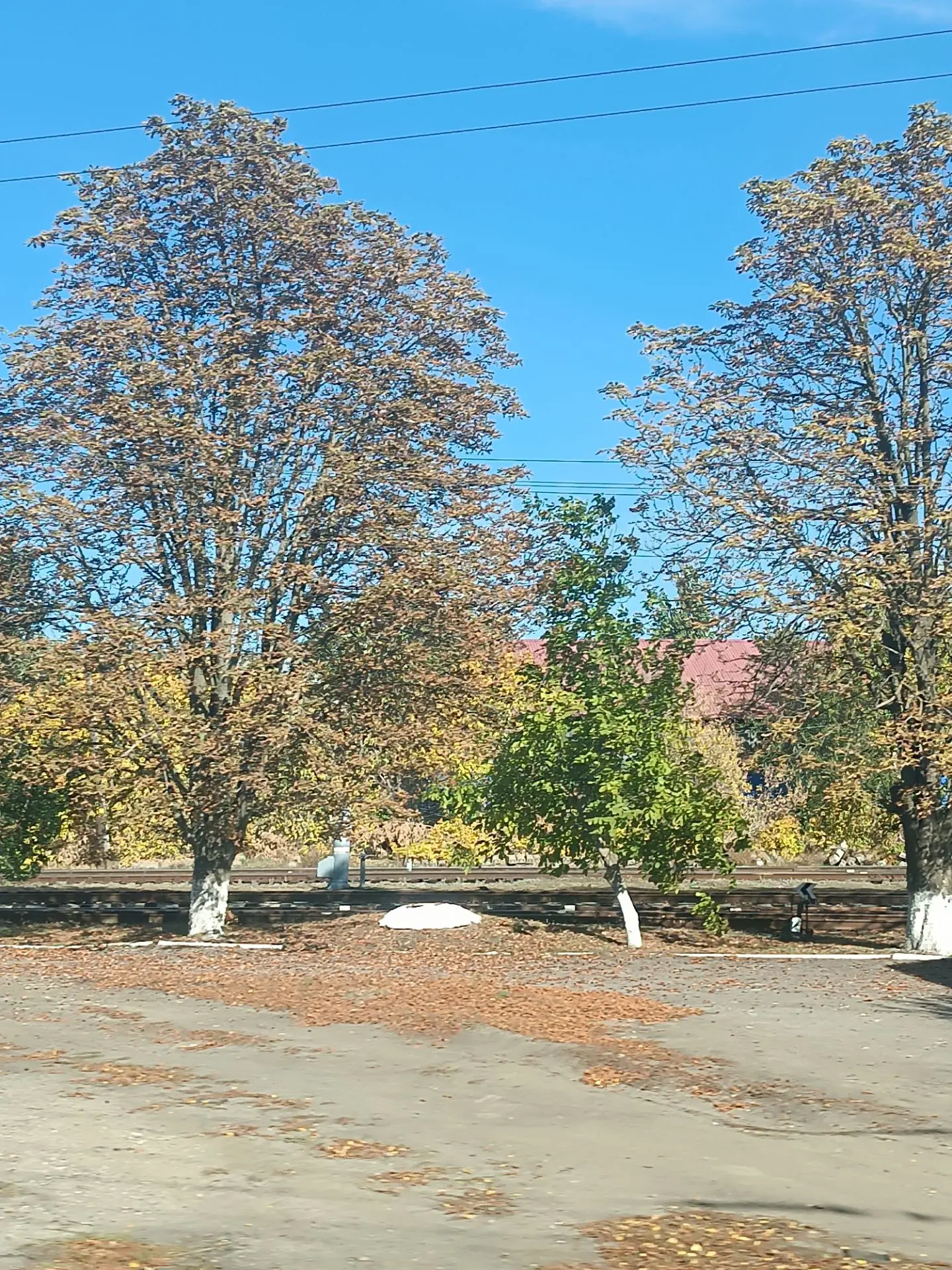 Доброе утро, север Дона ☀ 🌝⏰