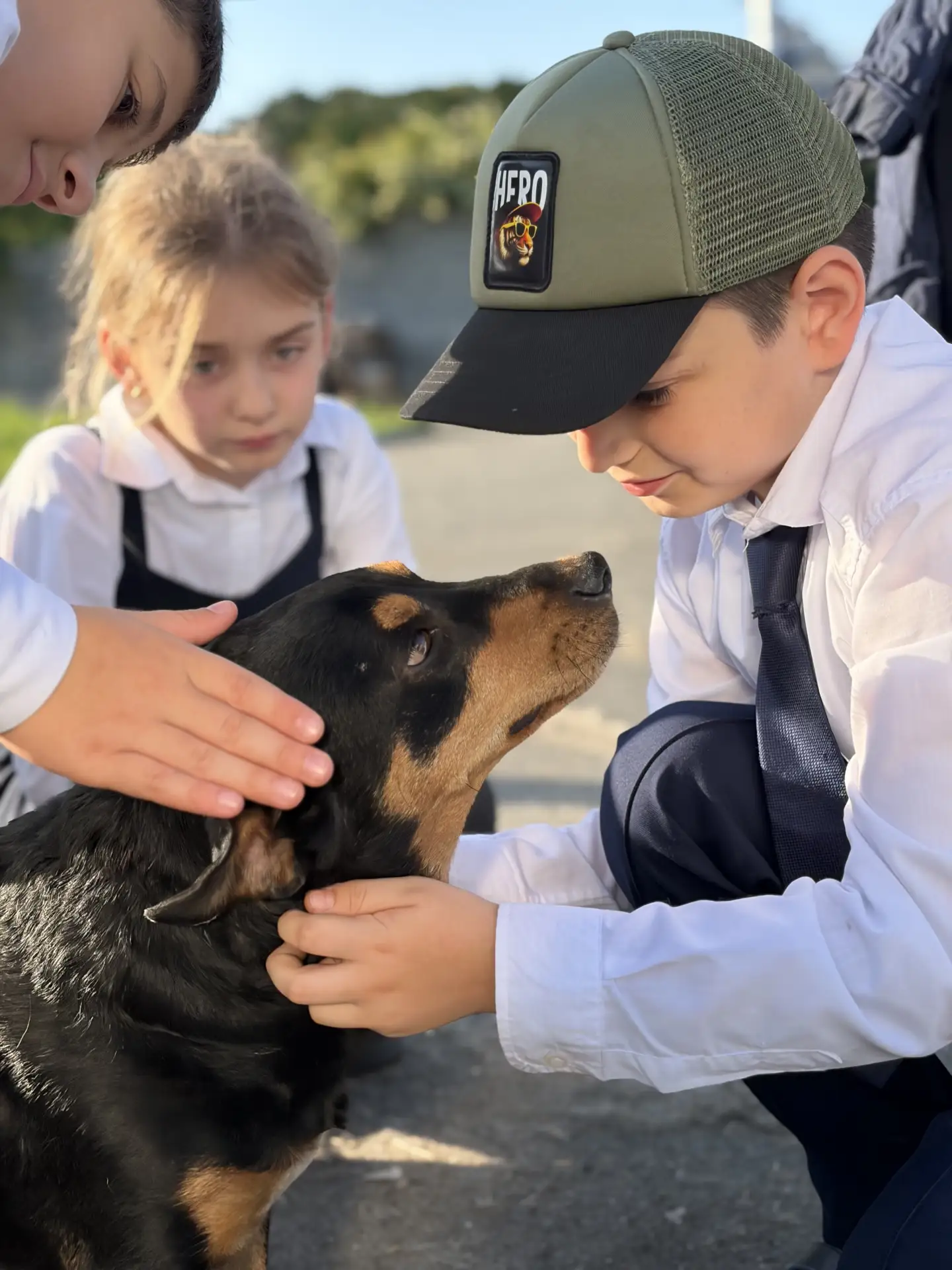 Маленькие руки делают большие дела! 🐾❤️