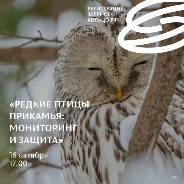 Встречи с орнитологами