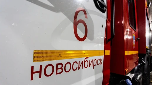 В Новосибирске растёт число многодетных семей с пожарными извещателями