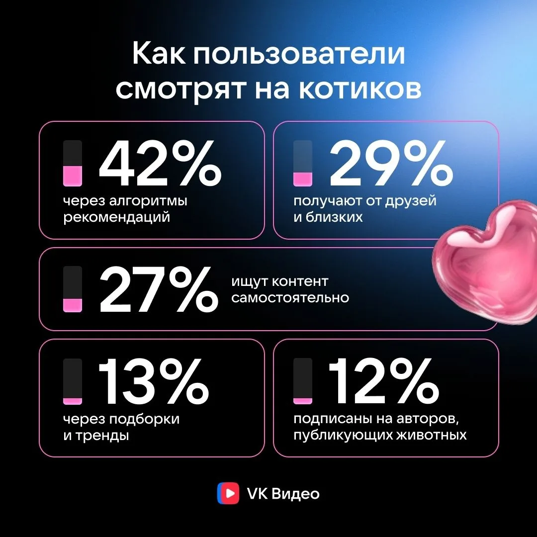 Небольшое исследование от VK Video, как пользователи соцсети реагируют на котиков: