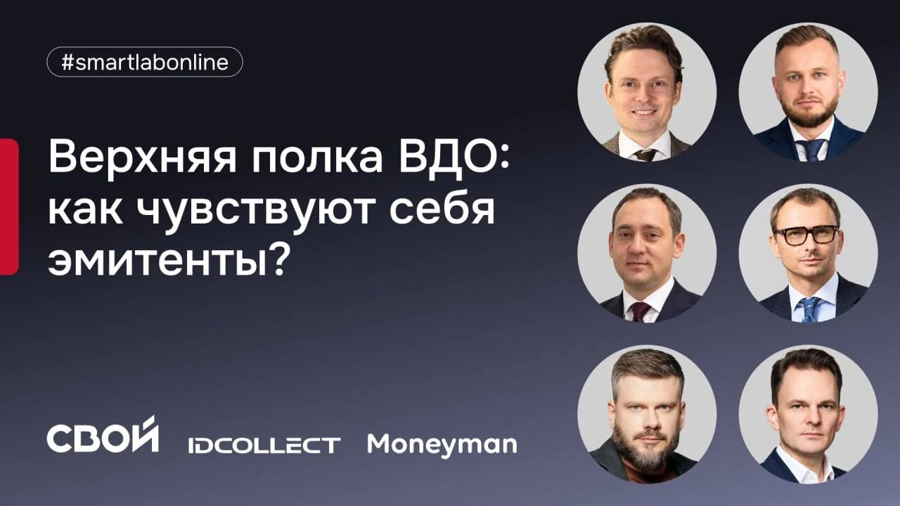⚡️ Разбираем верхнюю полку ВДО: кто такие ID Collect и Moneyman?