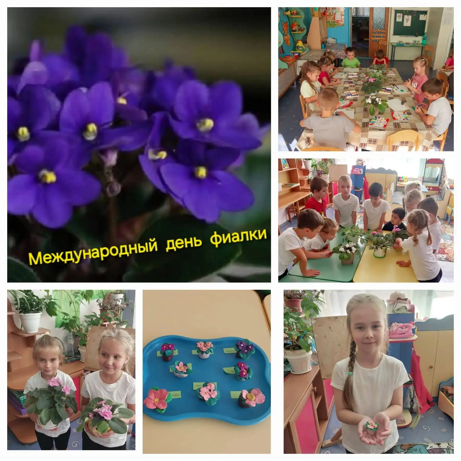 ✨«Международный день фиалки»🌺