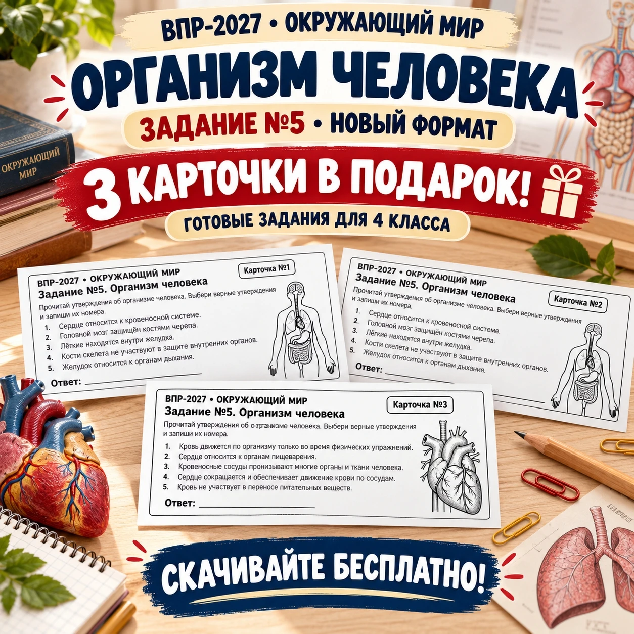 🫀 ВПР-2027. ЗАДАНИЕ №5 — 3 КАРТОЧКИ В ПОДАРОК! 🎁