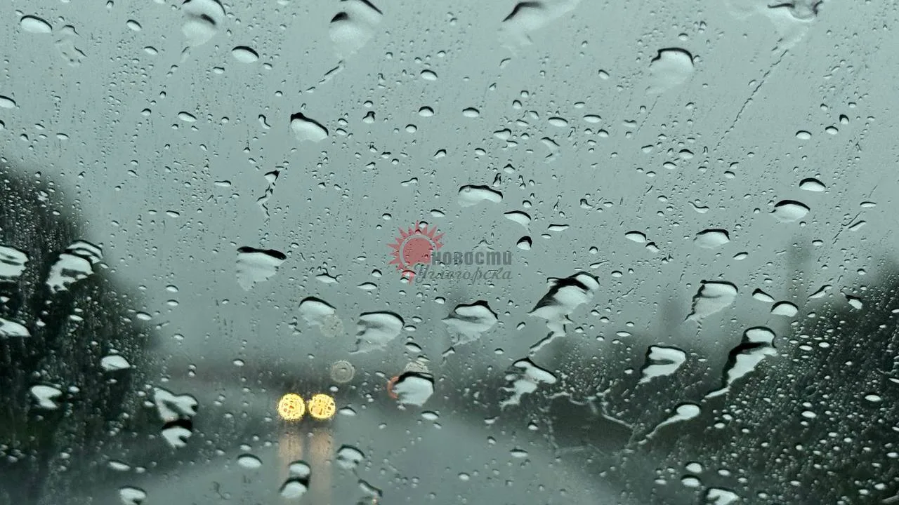 ☔ Погода сегодня ночью и днём 14 октября: