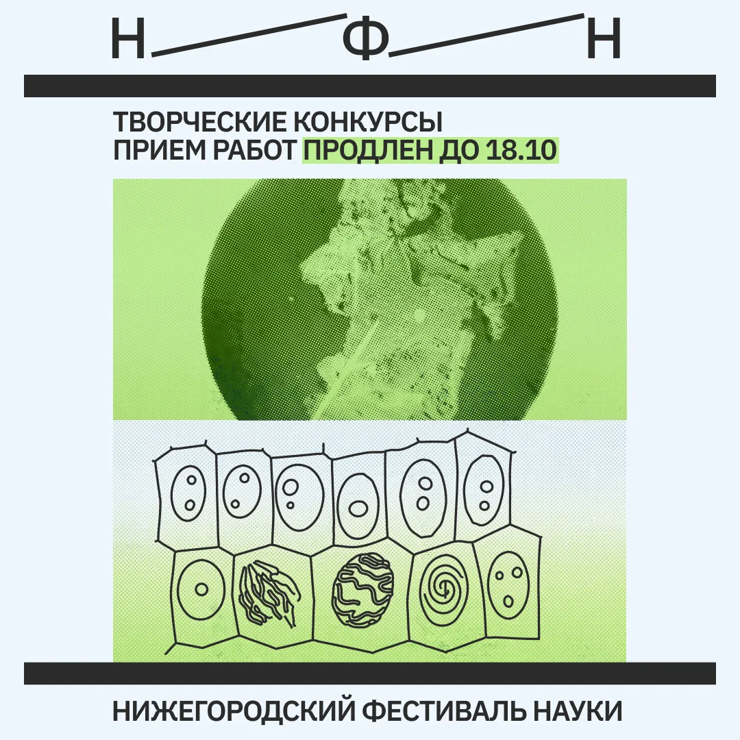 🪄 Продление срока приема работ на конкурсы фотографии и инфографики до 18 октября 23:59