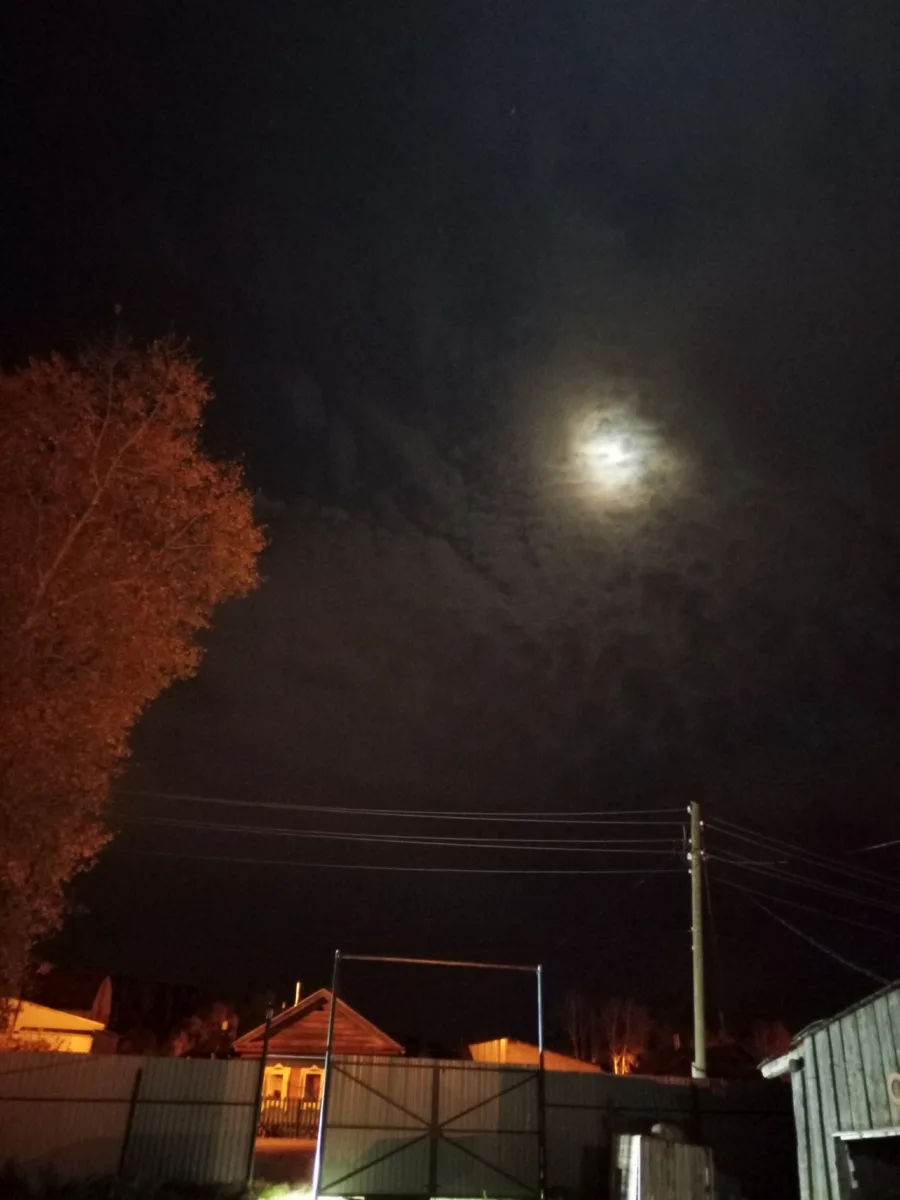 🌙 Луна заглянула во двор