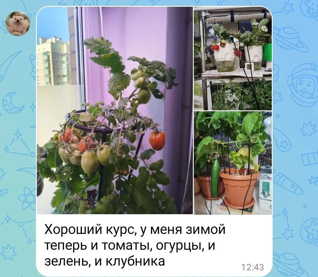Пока у кого-то огородный сезон закончился,у кого-то — урожай продолжается круглый год!