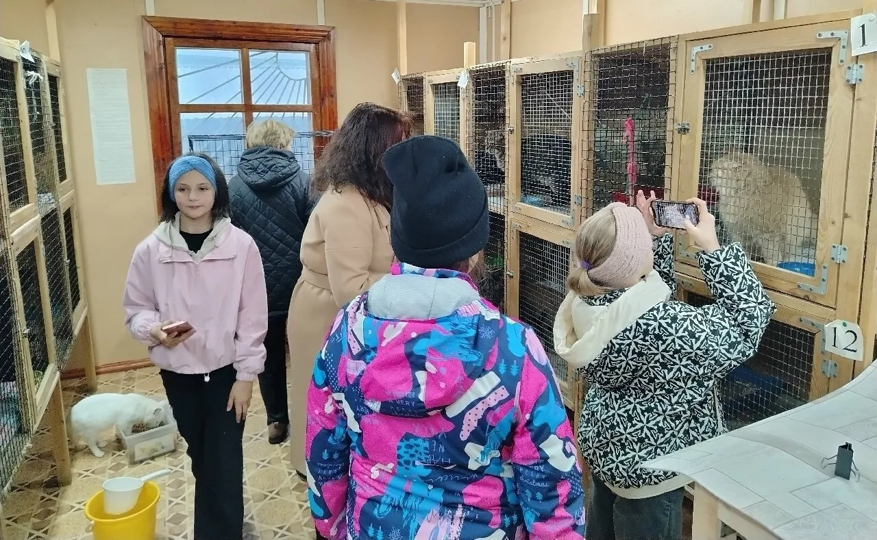Коношские воспитанники навестили приют для животных ⚡