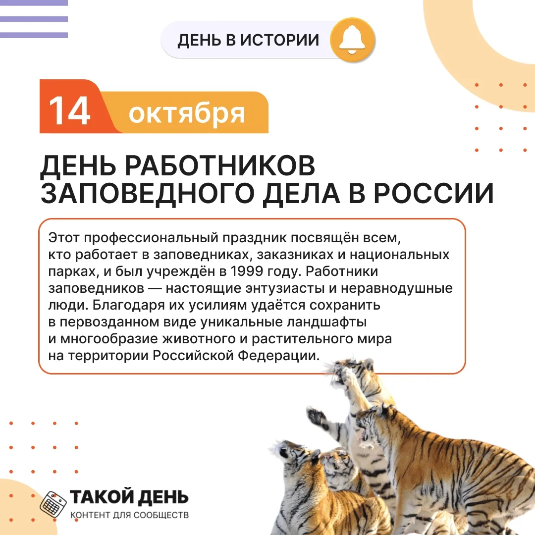 #осеньвсалюте