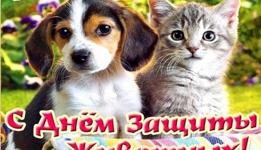 4 октября — Всемирный день защиты животных!