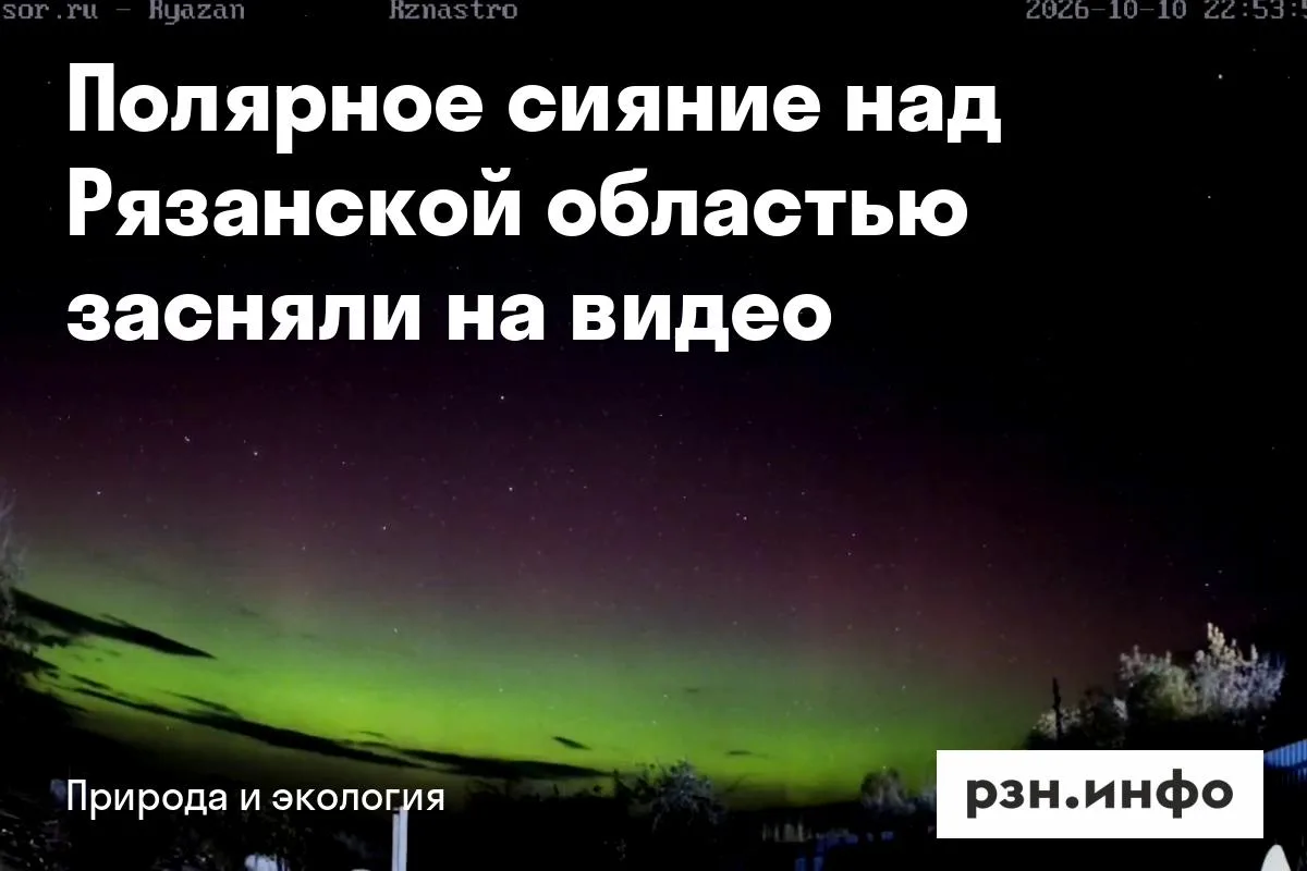 Полярное сияние над Рязанской областью засняли на видео