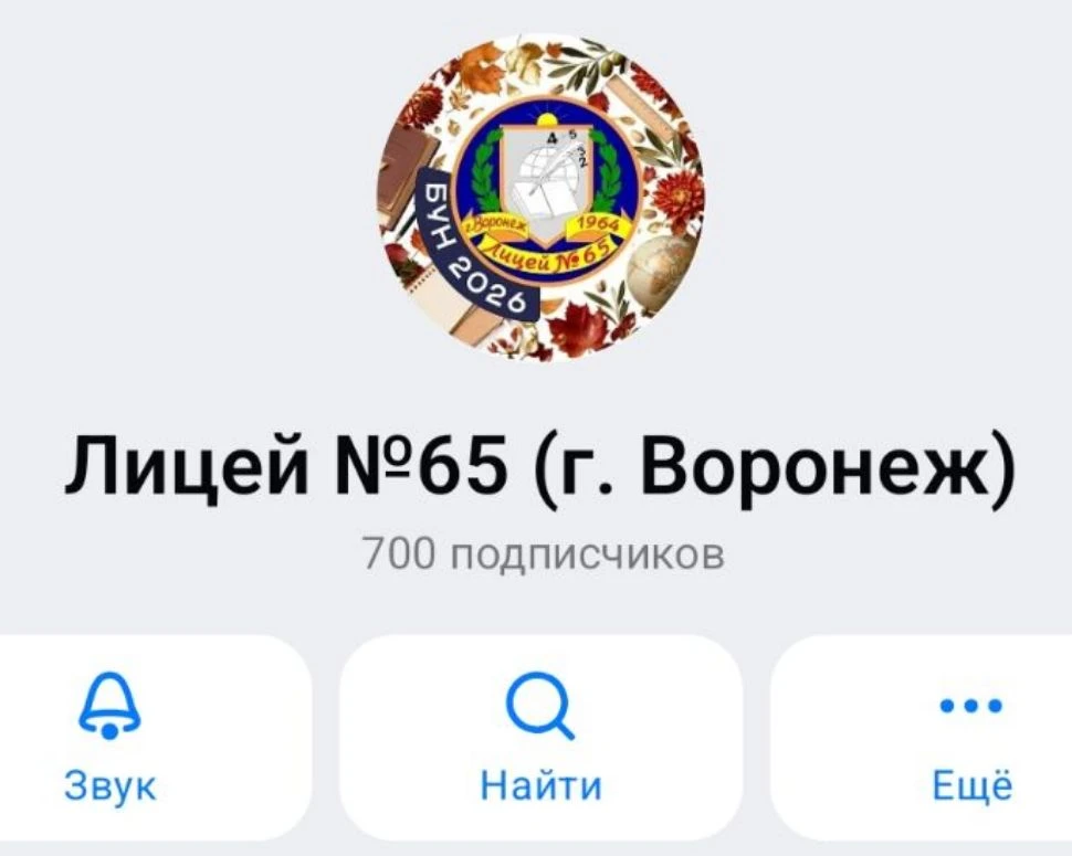 🥳А у нас очень хорошая новость! Дорогие подписчики, нас уже 700!