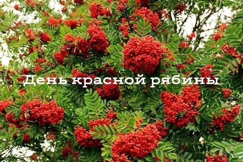 Группа «Лучики» зажигает! 🔥🍁