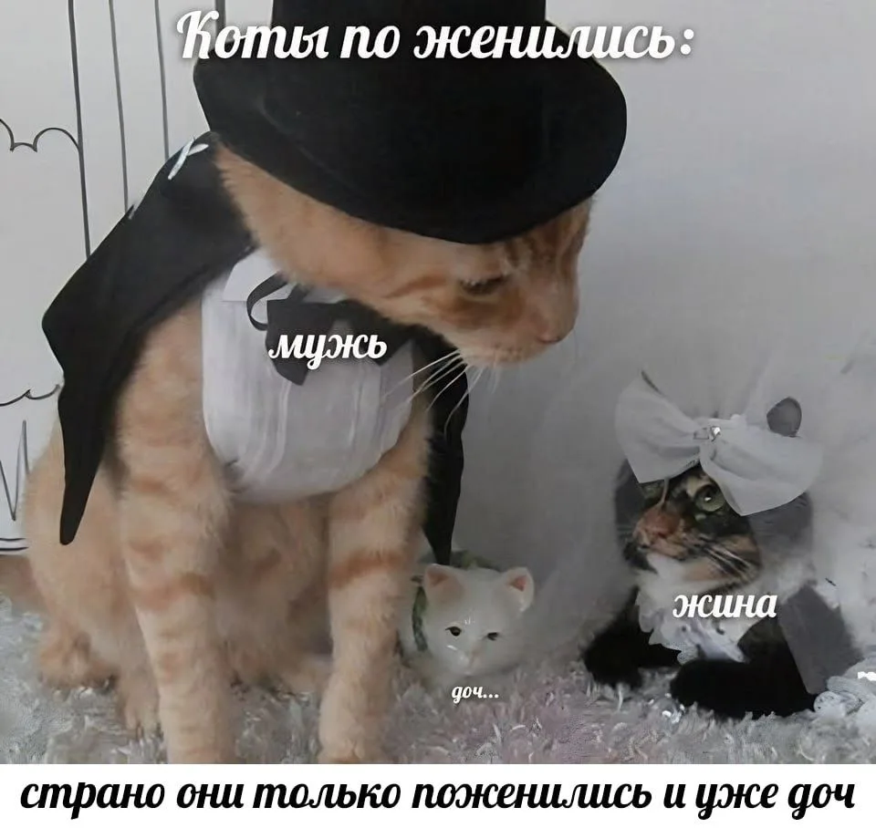 Ставь лайк! ❤️