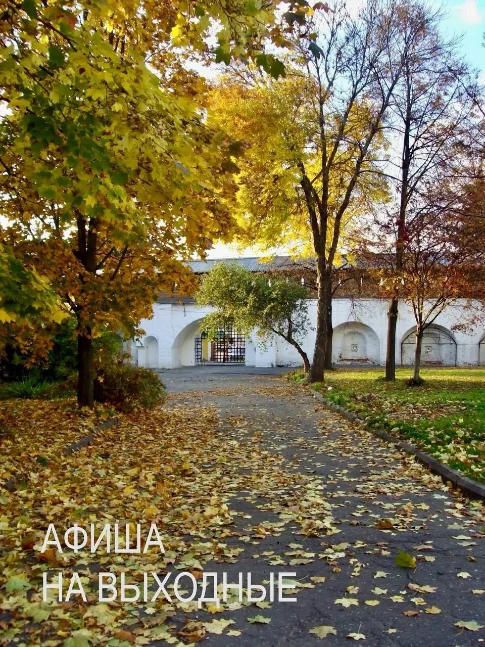 Как провести выходные в Ярославле? Собрали для вас афишу! 🍂