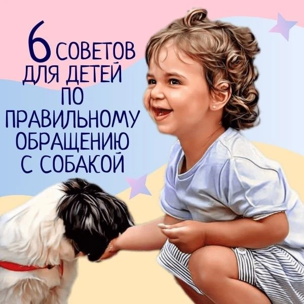 Мы для вас подготовили 6 советов по правильному обращению детей с собакой. 👫🐶