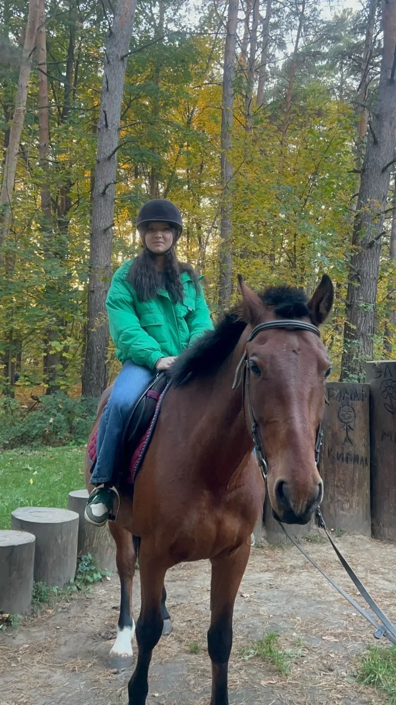 🐴 В парке «Жалка» рисовали рысаков на спилах