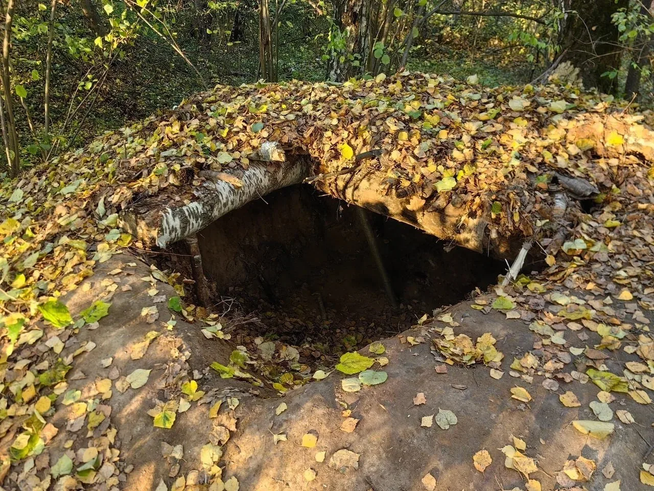 🏺 В Домодедово разрушаются древние курганы в городском лесу