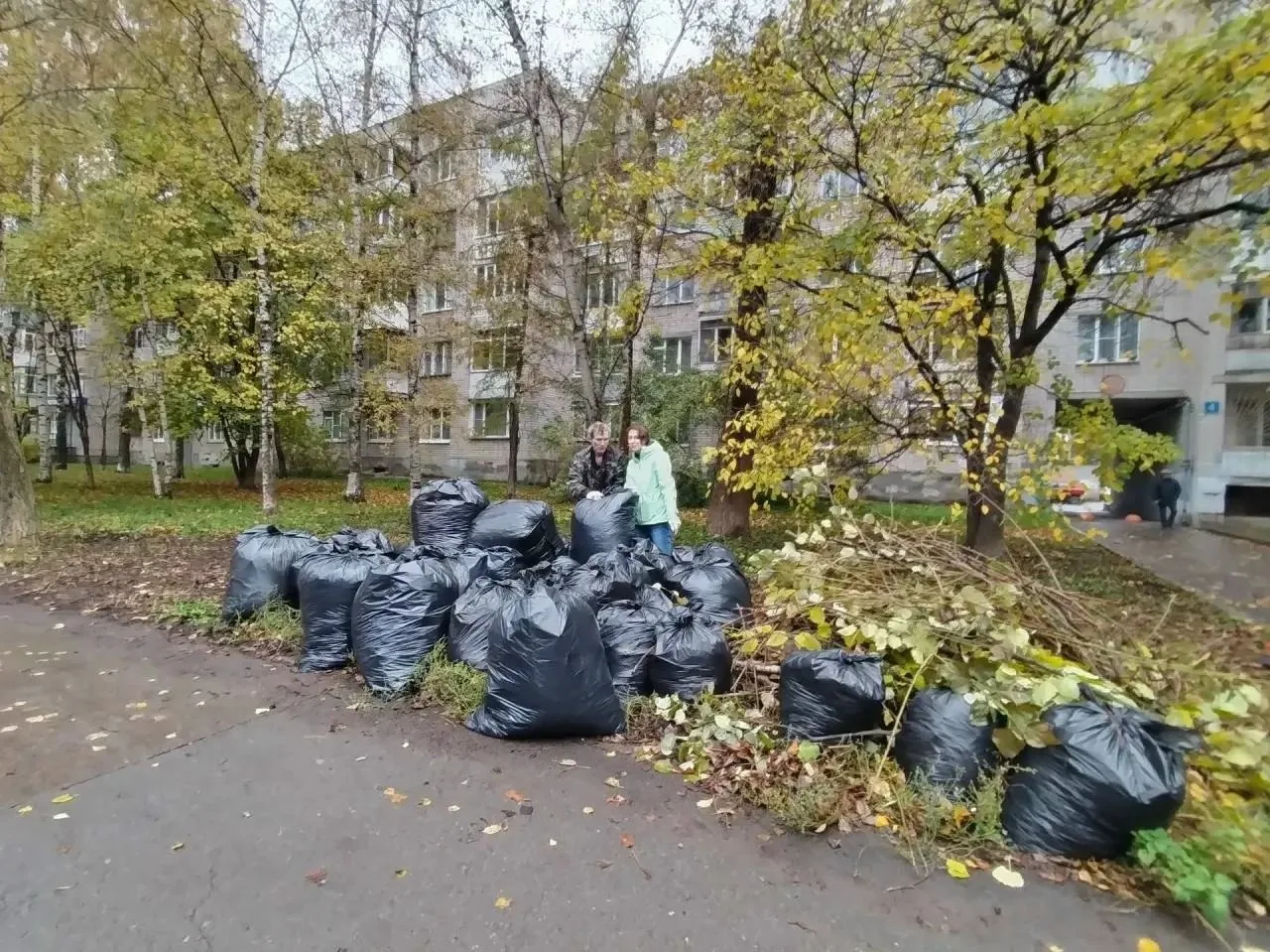 📎 Почти 2800 мешков листвы и мусора собрали на субботниках в Вологде📎