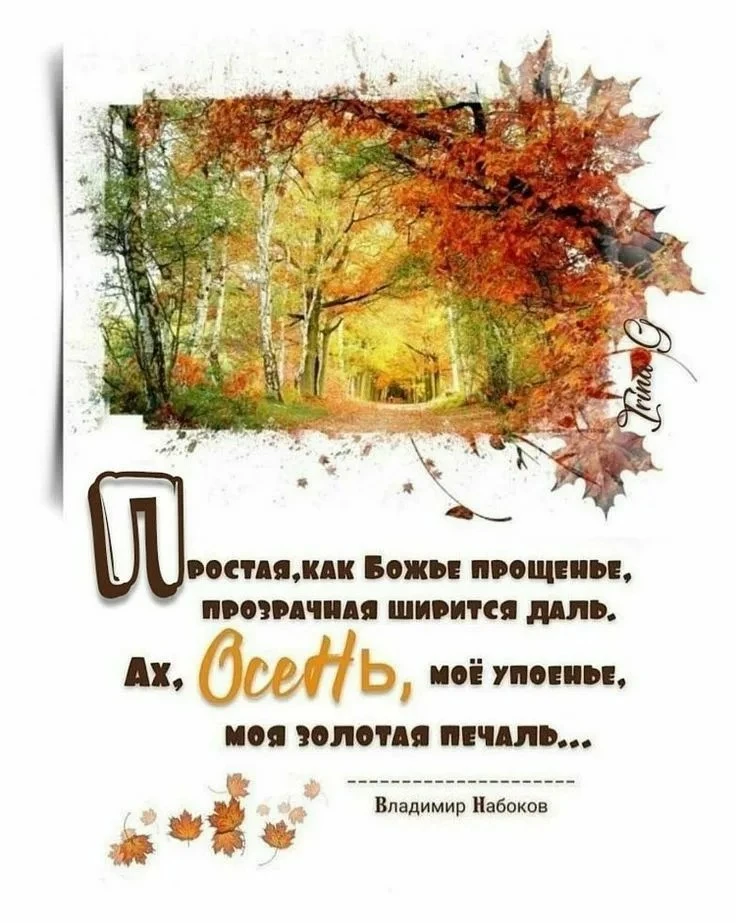 👉 ОТКРЫТКИ 💗 С добрым утром!