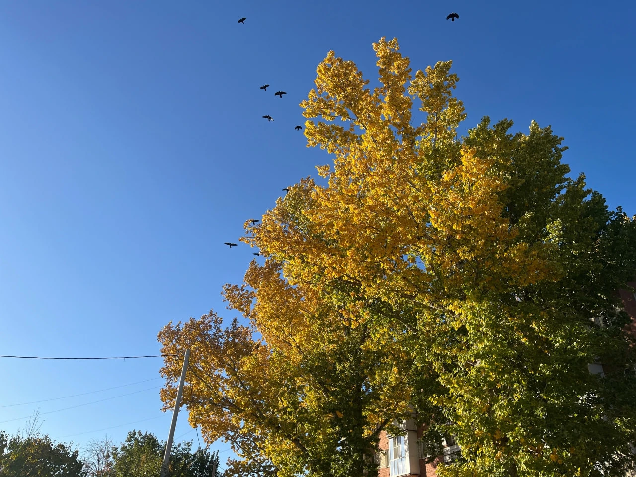 🌤Саратовцев ожидают теплые выходные