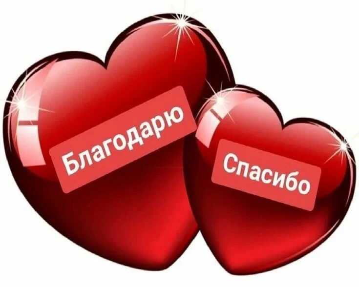 ЧЕТЫРЕ ДНЯ БЕЗ ИНТЕРНЕТА🙂
