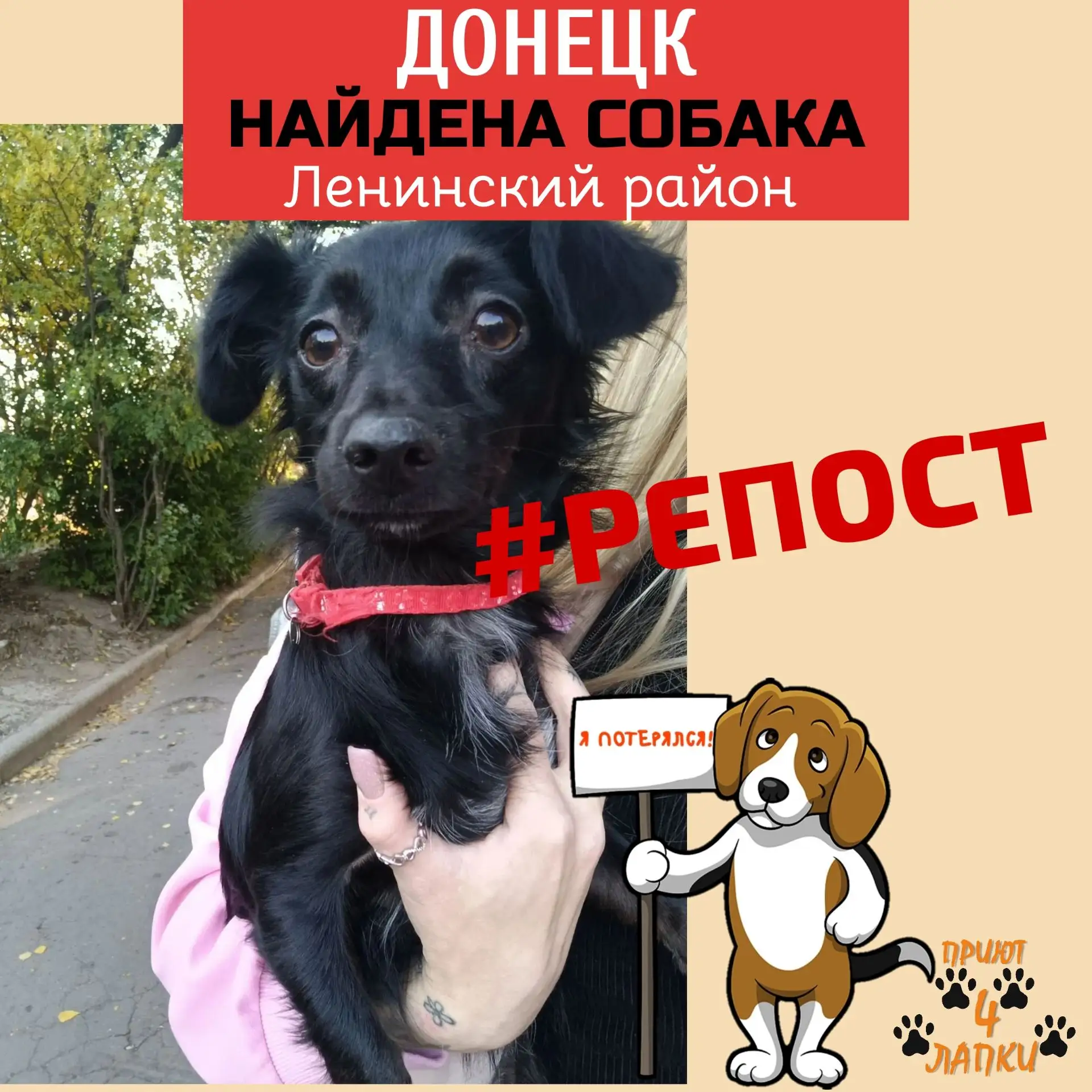 ⚠ЧЬЯ ПОТЕРЯШКА?⚠