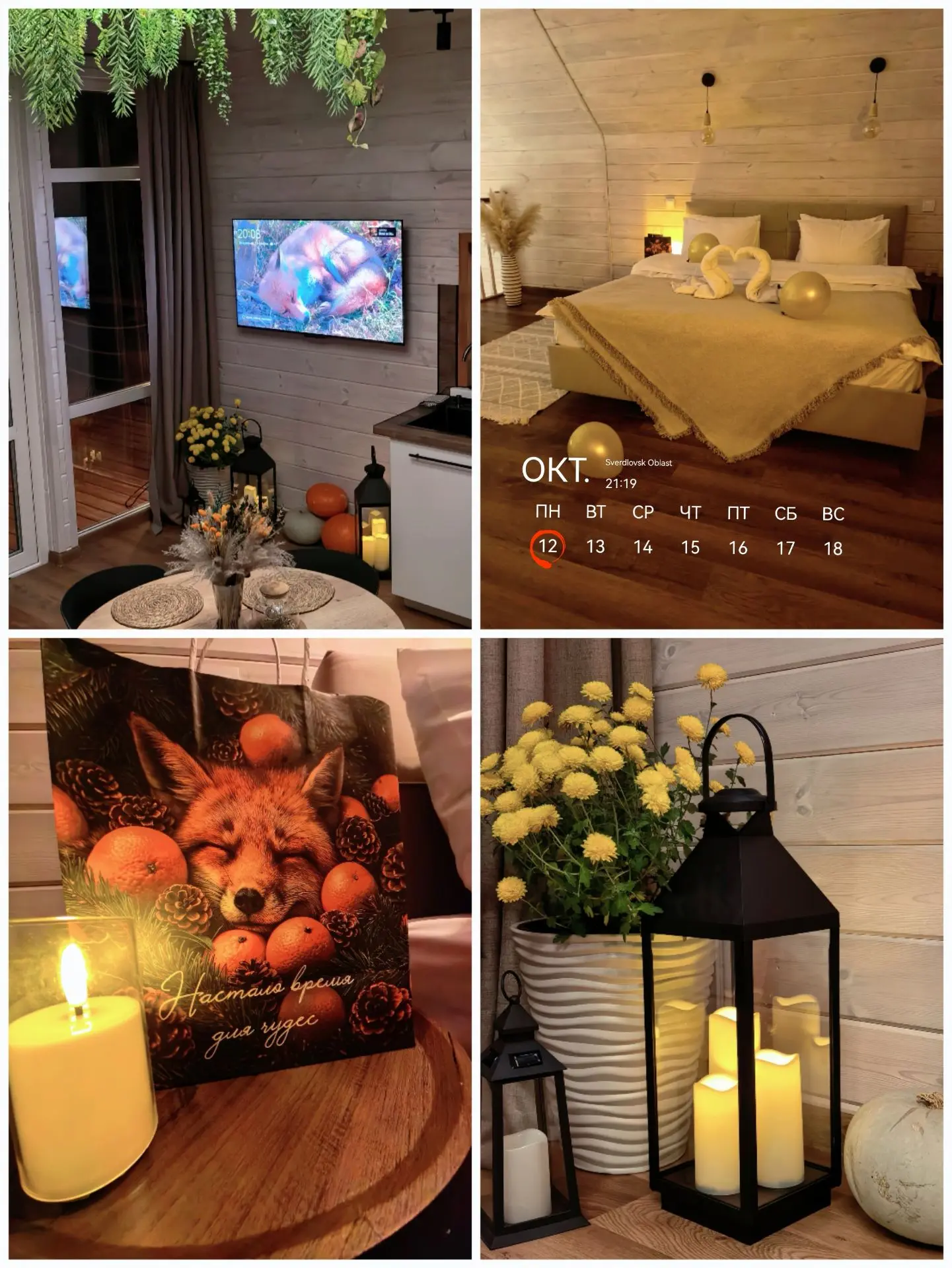 🌙✨ Добрый вечер из Сагоры!