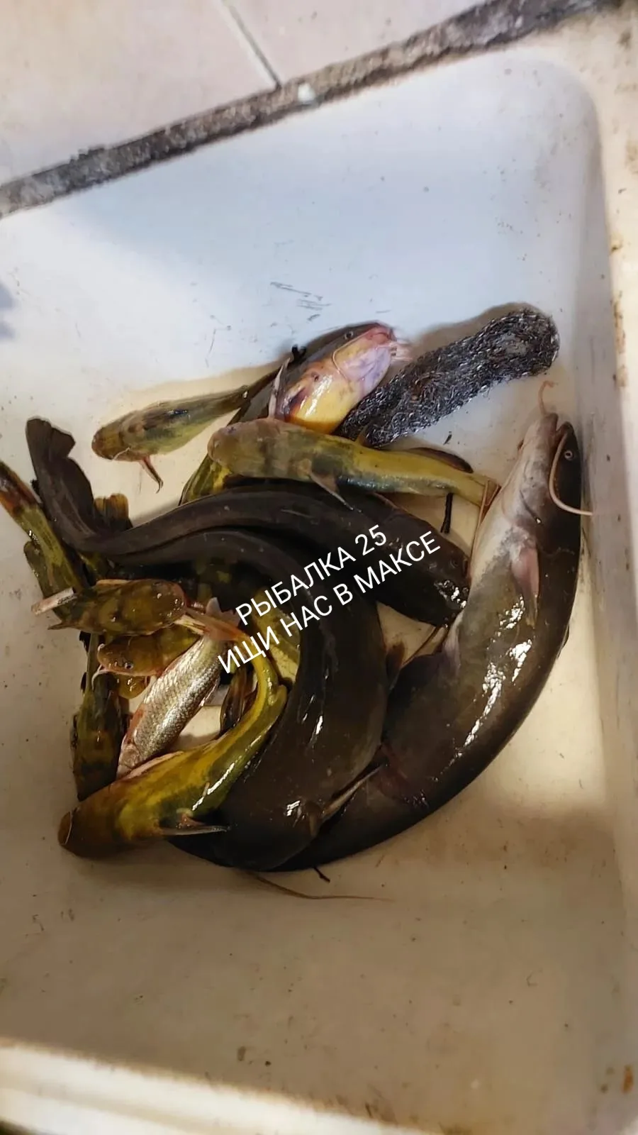 Раздольное